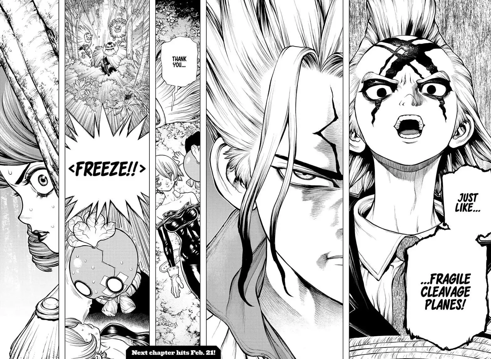 Dr. Stone Chapter 185 17